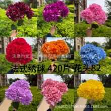 ���滨��420Ƭ5�^���������ֻ�����c�ٻ�·���宋�b�