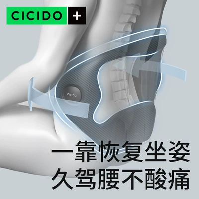 Driving Waist Protection Artifact, Waist support