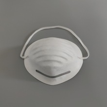 天诚 浙江台州 PE DUST MASK 无纺布 涤纶布 定制防尘口罩