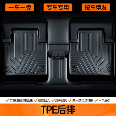 waterproof, odorless, wear-resistant TPE — Modelə uyğun ayaqaltı - single-layer-rear-row-tpe-eco-friendly-floor-mat