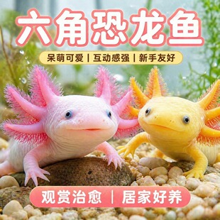 ���ǿ����^�p��ˮ�~ϔ�ˮ�匙����w�o�������ˮ���B�ͻ�W�t�~