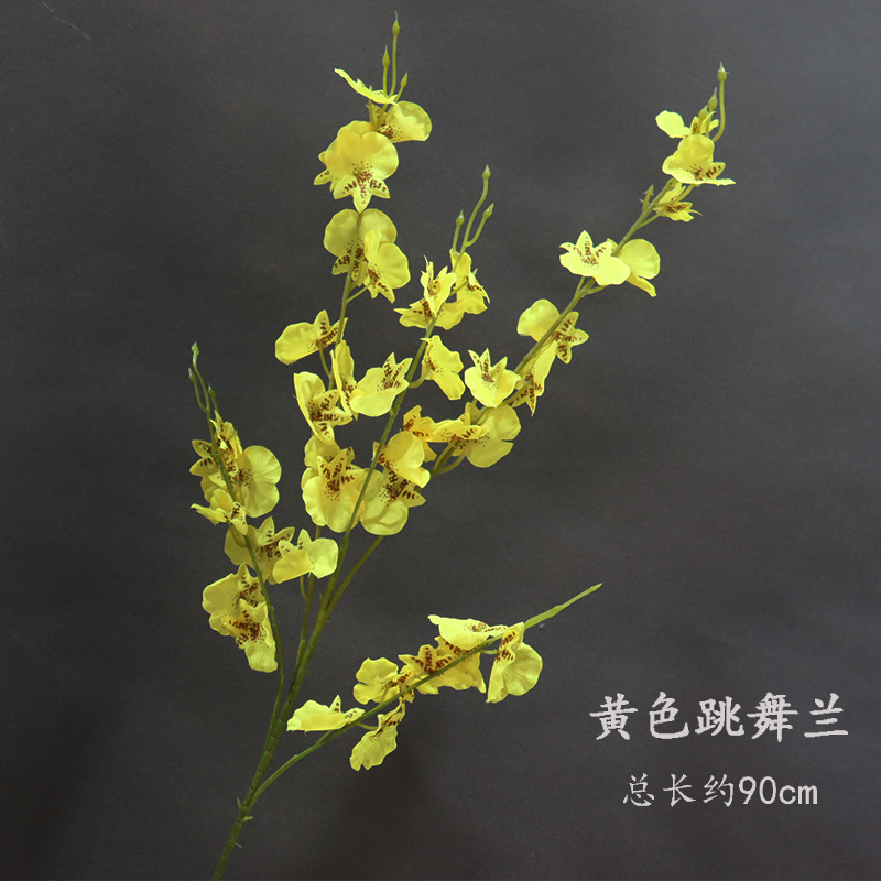 Una orquídea de baile amarilla