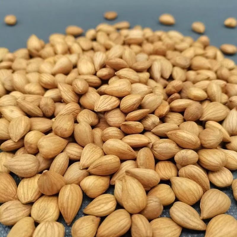 Apricot Kernel Powder Xing Ren 500g Natural Sun Dried Chinese Herbal Powder for Daily Wellness Drinks key features