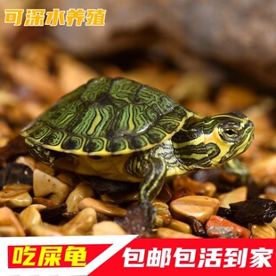 �S�������������L�۞����~�׻��B�����^�p�������w��ؔ�ԼS��