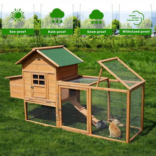 ���ƌ�ľ�u�\���u�C�������û\���ô�̖����ľ���Bֳ�u��