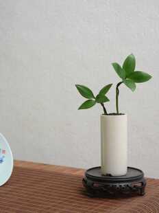 ����辰����С������ò�ֲ���҃Ȼ����k���������ļ����B��Gֲ