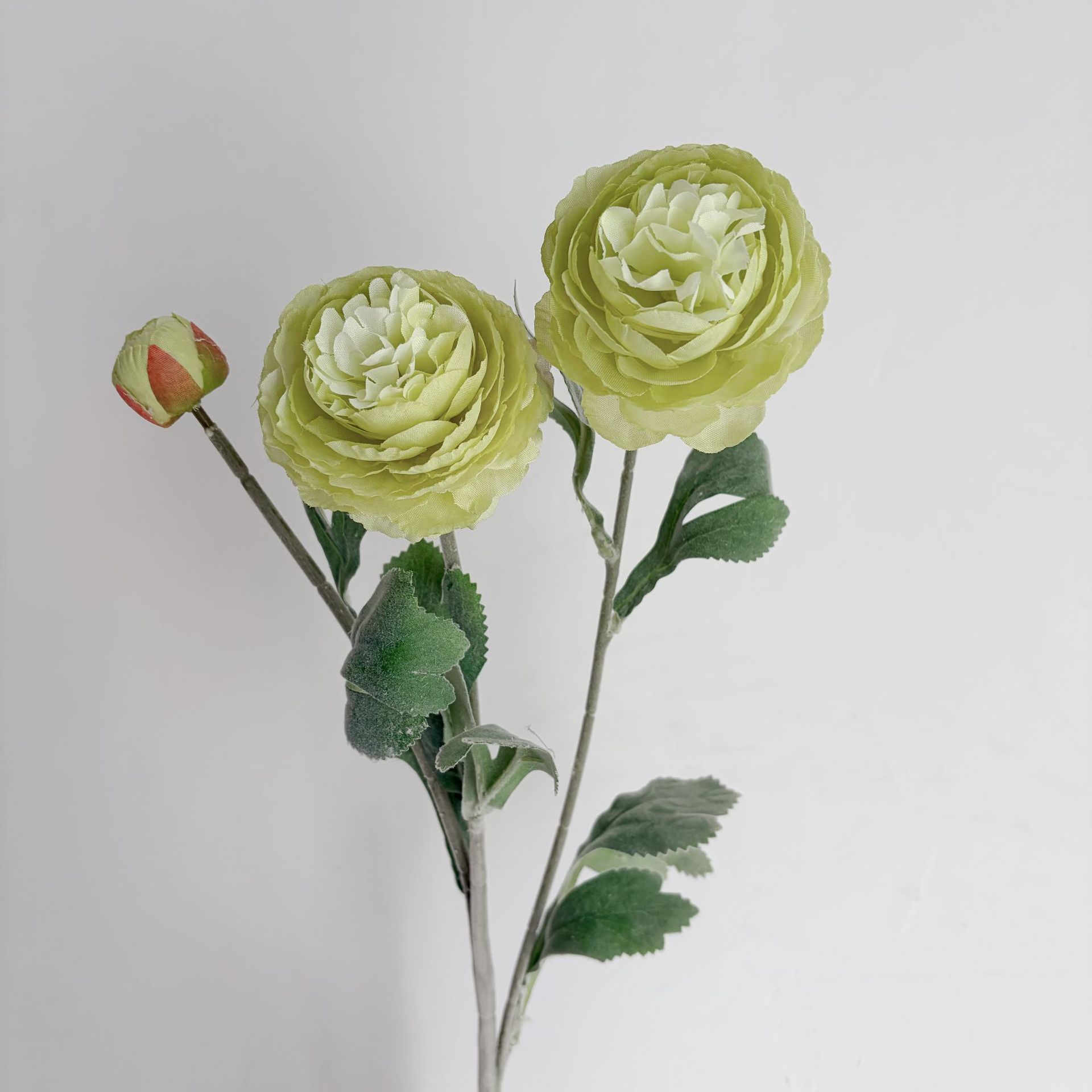 verde