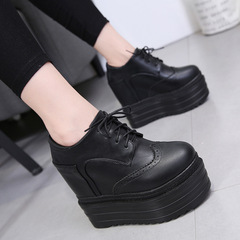 558-12 Ultra High Incline Waterproof Platform Ankle Boots with Laces, Women's Winter Single Boots with Inner Heel Lift