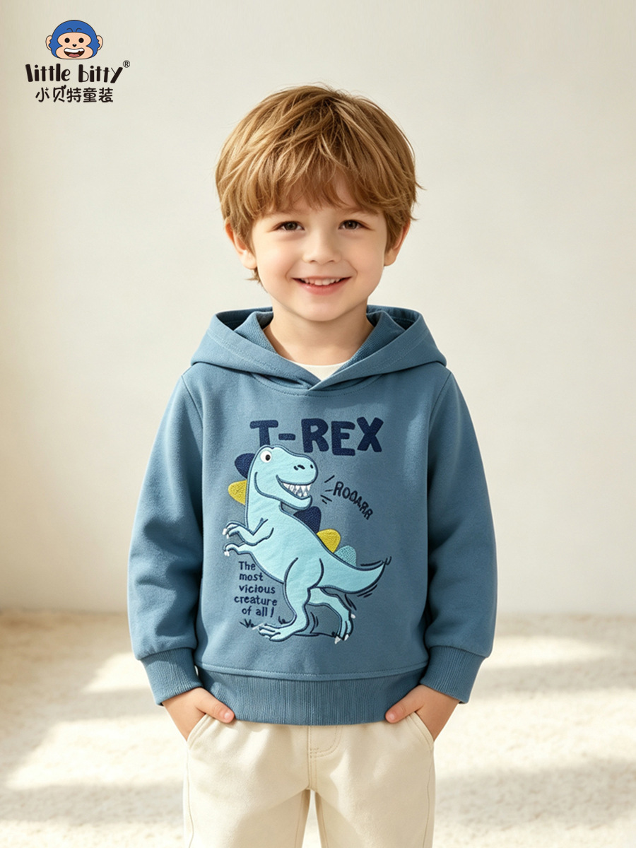 Boys' hooded sweatshirt, 2026 autumn/winter collection, cartoon Tyrannosaurus rex embroidery, children's pullover, European and American style children's clothing