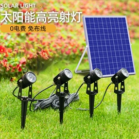 太阳能灯;庭院灯;道路照明灯