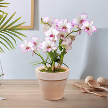 ?����������īʯ��������ʯ���m������˻��ܾGֲ�ļ��_��������