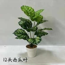 ����Gֲ�����~�ٻ��͏d�bGɫֲ����ؼٻ����Ԕ[�O�G�}С�辰