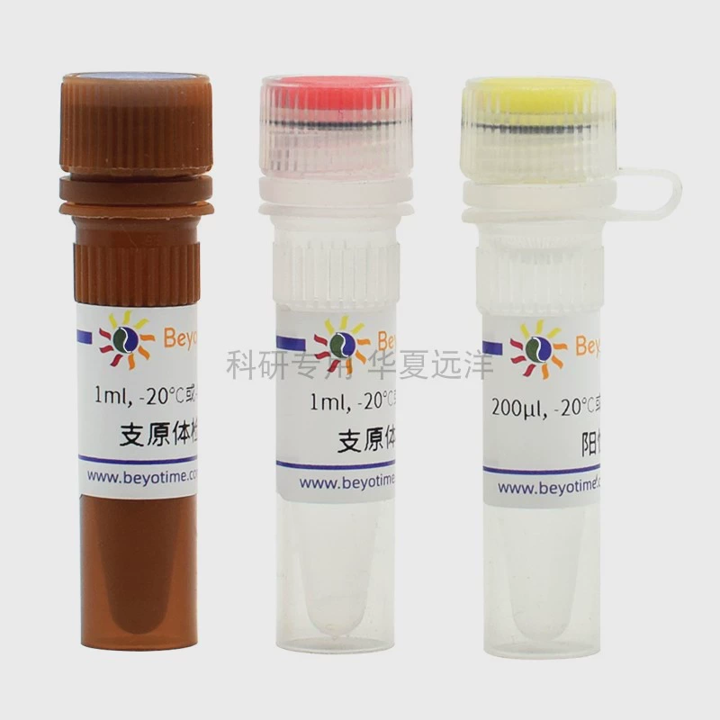 C0297S Myco-Lumi™Люминесцентный набор для обнаружения микоплазмы (для инструментов с низкой чувствительностью