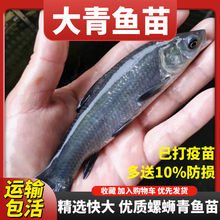 ��·�����~���ش�̖�ݽz���~ˮ��ˮ���~��ˮ�a�Bֳ��ឈ@�����