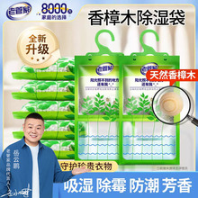 回南天除湿衣柜挂式除湿袋室内吸潮袋干燥剂防霉防潮香樟木