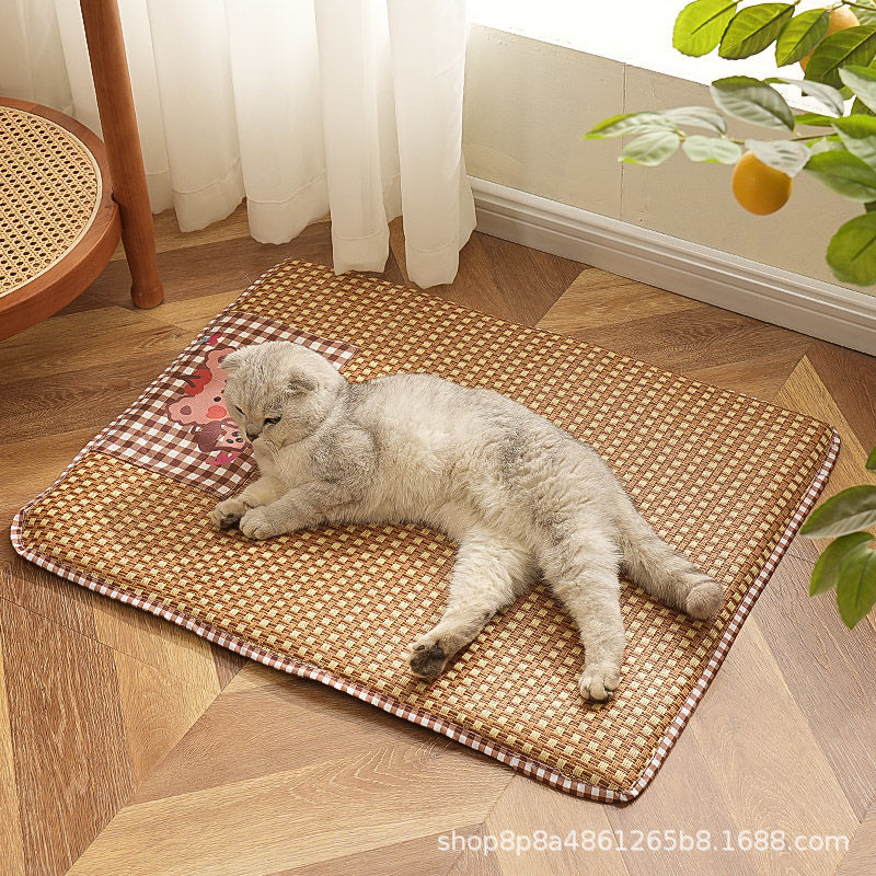 60x50 (6kg마리의 애완동물)