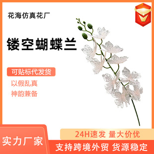�����m���滨�������ÿ羳�ɴ��l���l���컨Ī�λ��@���滨�����m