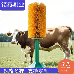 ��ţ�Bֳ���̶�������ʽţ�wˢţ�ò�Wˢ�Ԅ����D��Ħ�坍ˢ��ĥ