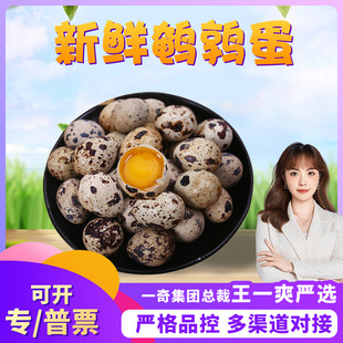 �����x�����ϰ���g���� ���l50ö���ɢ�B�����r���B����Ұ�u��