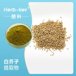 白芥子提取物10:1陕西慧科源头工厂供应白芥子粉现货包邮食品级
