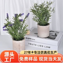 仿真盆栽尤加利叶盆景丁香花薰衣草菊花家居装饰摆件造景摄影道具
