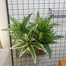 �߷����ָа�������ľ�~�Gɫ��c���滨��Y�bGֲ·����ˇ�廨