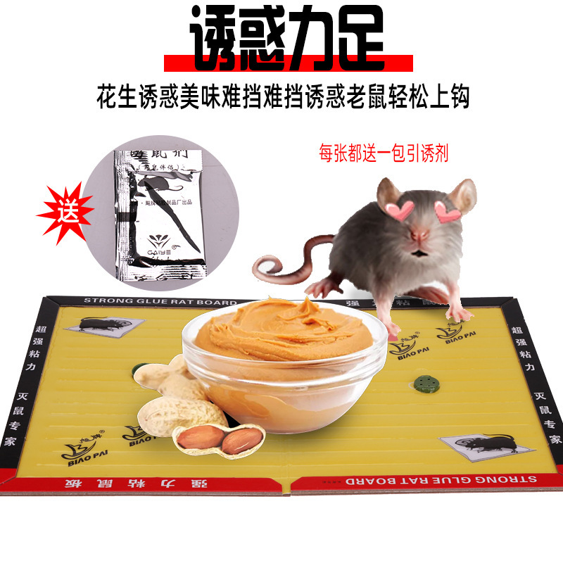 牌メーカーの卸売り店のねずみ板はねずみ板を駆除します。|undefined