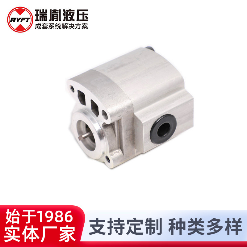 厂家供应瑞胤 高速低扭矩 液压齿轮油泵