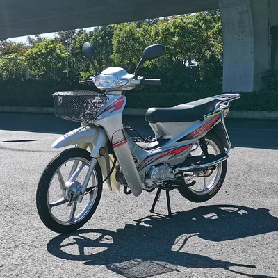 Long Range, Fuel-Efficient 110Cc Fuel Vehicles, Motosikletlər