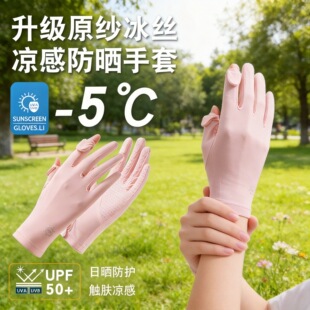 �ļ���������Ů�����\���T�Л��б������©ָ���z���׷����⾀F4