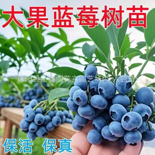 �{ݮ�������Ϸ������ļ��̨ˮ����NֲͥԺ���N������箔��Y��