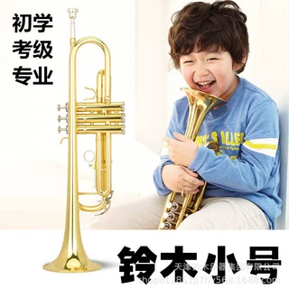 亚马逊厂家小号乐器降B调小号夕阳华丽三音小号初学者小号教学专