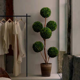 绿植米仔兰盆栽室内大型球型植物服装店氛围树落地摆件