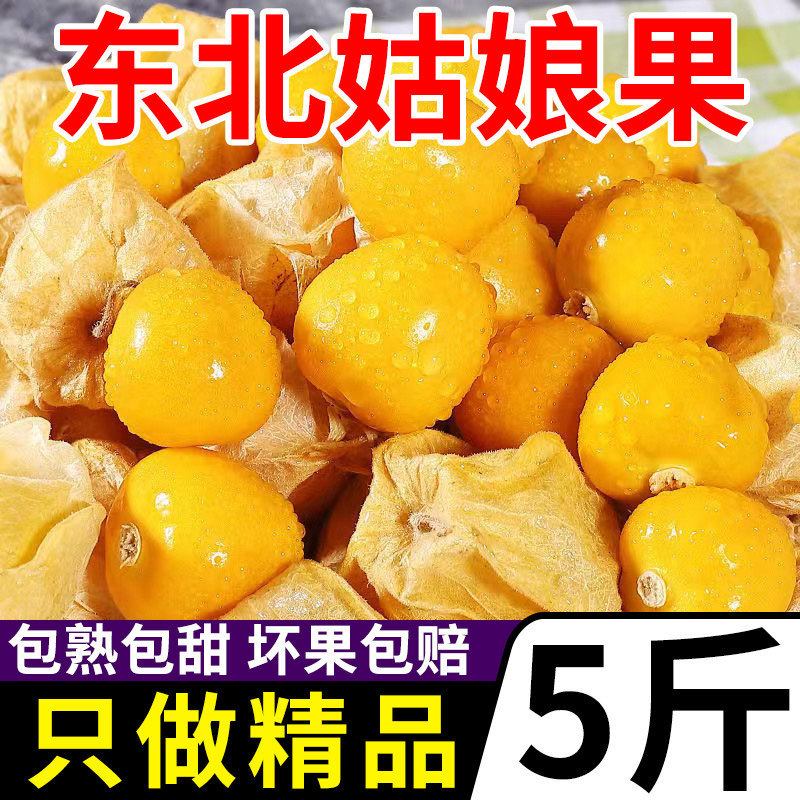 Northeastern Goji Berries 2.5kg Freshly Picked Yellow Goji Berries Specialty Fruit Seasonal Whole Box Mixed Pack Free Shipping 3 Northeastern Goji Berries 2.5kg Freshly Picked Yellow Goji Berries Specialty Fruit Seasonal Whole Box Mixed Pack Free Shipping 3