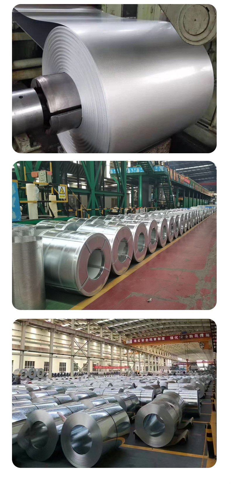 5镀锌板卷_08.jpg