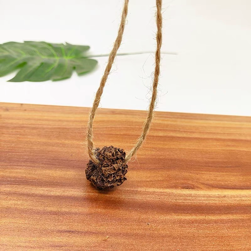 Производитель поставляет порошок, мякоть и сырые плоды кошачьей мяты в наличии.