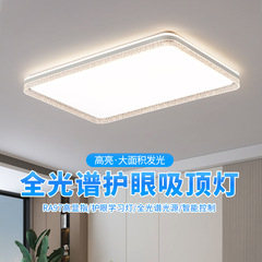 现代简约轻奢高级感大气卧室灯具全屋2025新款意式极简客厅吸顶灯