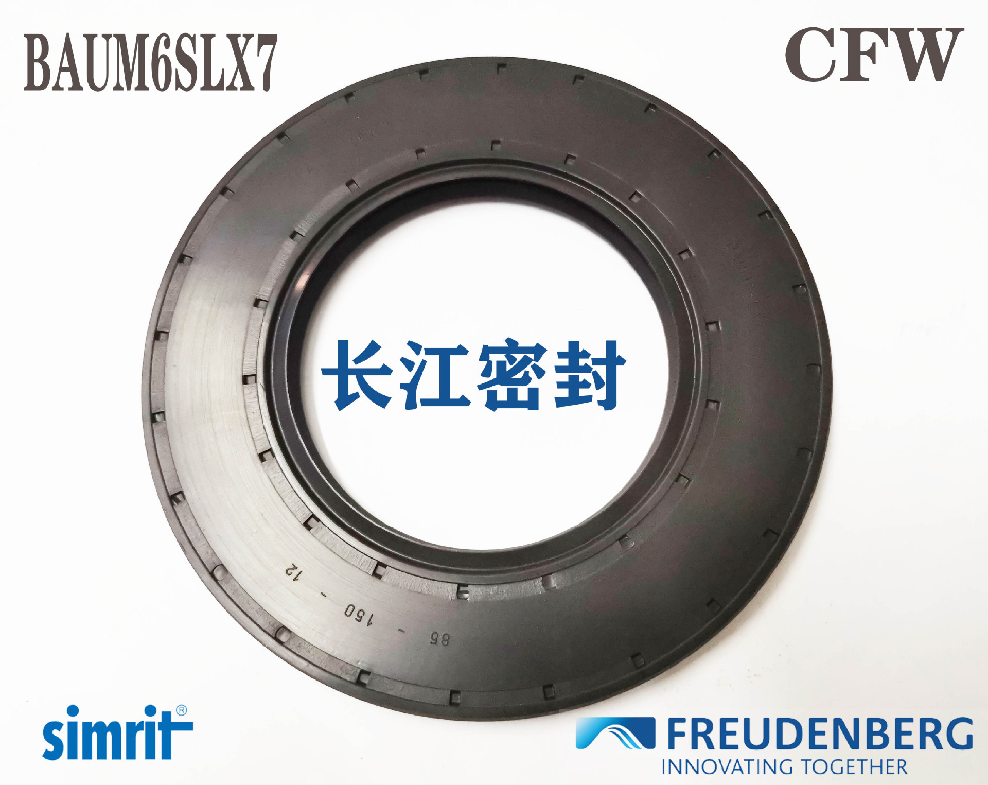 CFW骨架油封95-120-12FKM NBR BAUM6SLX7德国SIMRIT皮带机减速机