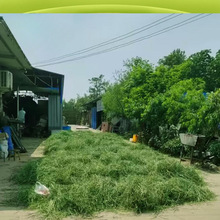 2024ĥĦ òĦ ؈miZݰ]l