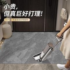 地墊入戶門墊門口進門PVC免洗可擦腳墊門墊家用入門耐髒防滑墊子
