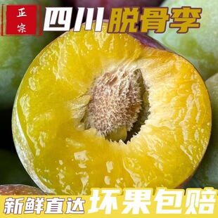 �Ĵ�Ó��������������������rˮ�������ЋD���