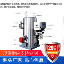 燃油燃气蒸汽锅炉源头工厂全自动燃气蒸汽发生器小型常压热水锅炉