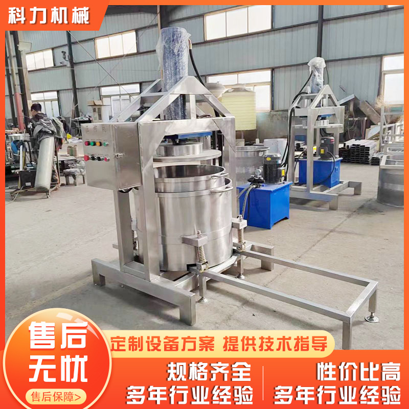 液压压榨机器 杨梅酒压榨收汁机 50吨压力液压压榨机