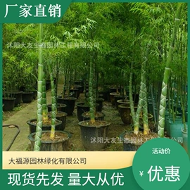 其他园林植物;水生植物;灌木