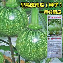 ����С�ϹϷN�� һ����ϹϷN�� �߮a������ϴ����＾�׷N�߲���