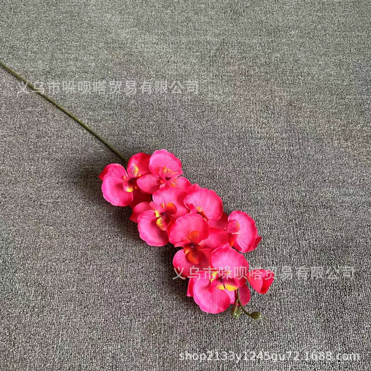 8 실크 호접란-레드