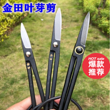 叶芽剪剪刀修枝剪盆景修剪造型制作盆栽树枝剪刀园艺工具一件起批
