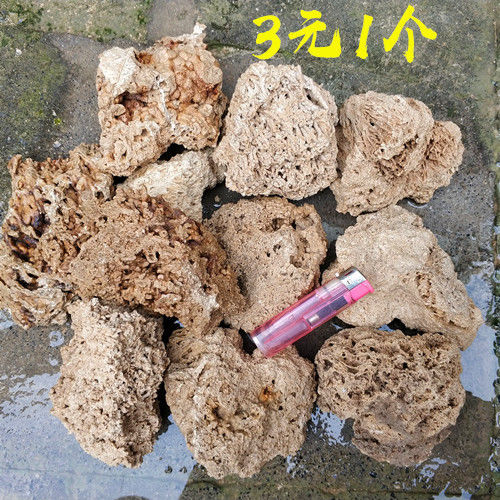 8cm-10CM Absorbent stone Sheung Shui Stone modelling rough  SHORTS miniature Scenery fish tank Landscaping Rocks