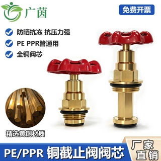 PPR PE 截止阀全铜阀芯 水管闸阀升降式铜阀芯 家装水暖阀门内芯