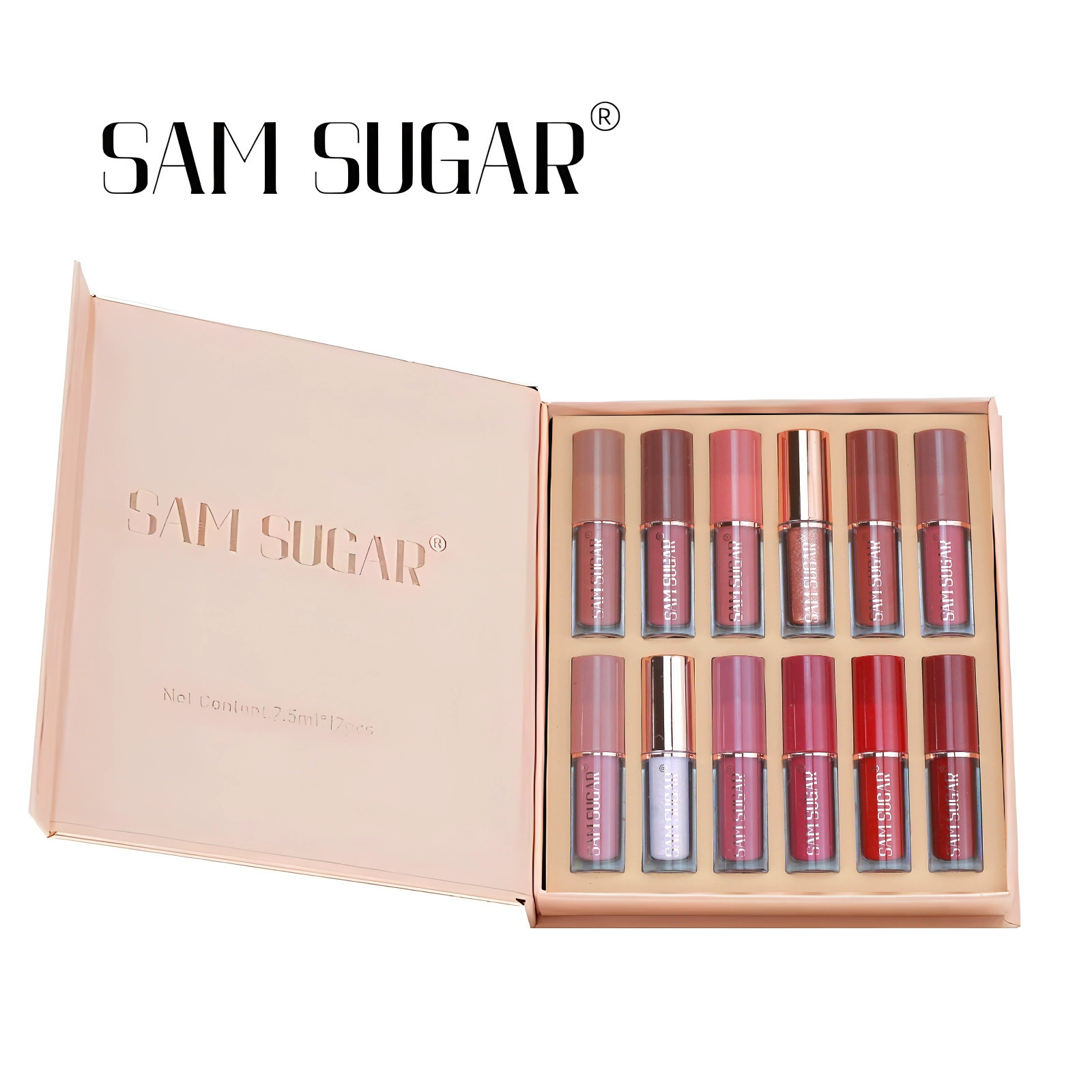 SAM SUGAR12 Color Book Lip Gloss Set